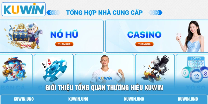 Home 17 Giới thiệu tổng quan thương hiệu KUWIN